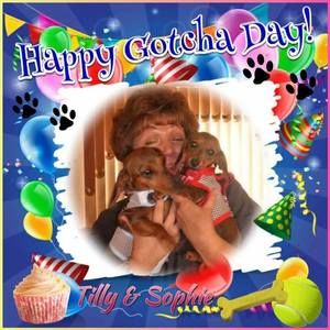 Meet your Posher, Colleen